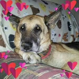 Meet your Posher, Holly